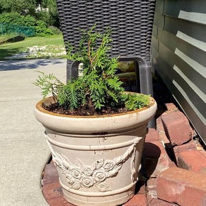 Pamela added a photo of their purchase