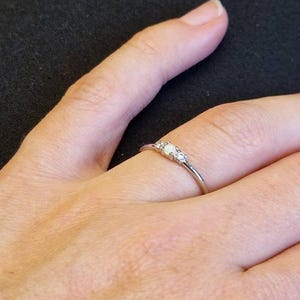 Jule added a photo of their purchase