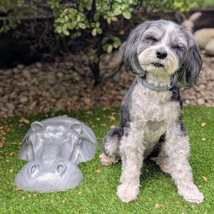 Katie added a photo of their purchase