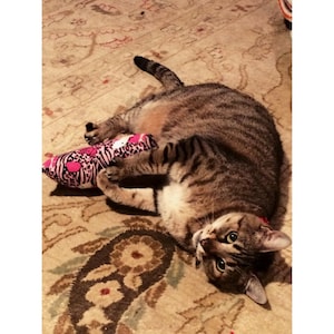Louisa added a photo of their purchase