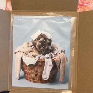 Lisa added a photo of their purchase