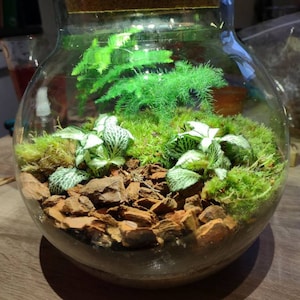 Lizzie a ajouté une photo de son achat