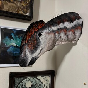 Clay added a photo of their purchase