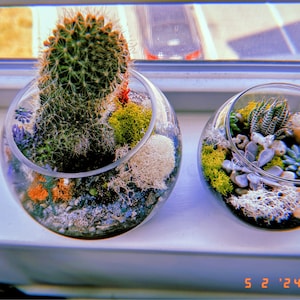 Teka added a photo of their purchase
