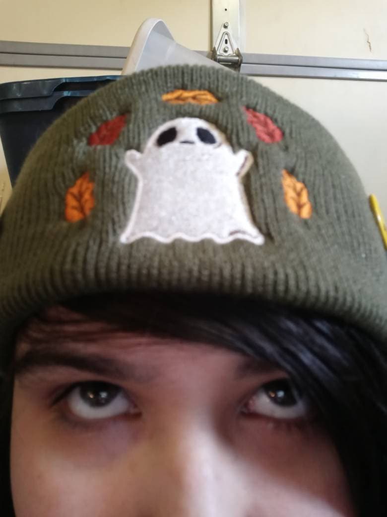 Ghost Embroidered Knit Beanie in Green, Black or Brown