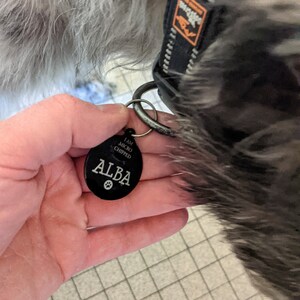 Inactive account added a photo of their purchase