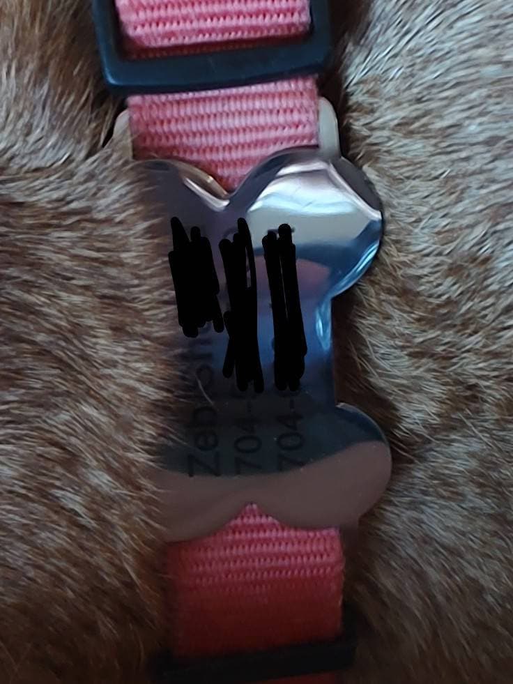 Silent dog tag personalized,Slide on dog tag,Dog Tags For Dogs,Custom Dog Name Tag,Engraved Pet ID Tag,Dog Tag Collar,Cat Tag,Puppy Tag