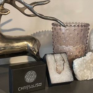 Inactive account added a photo of their purchase