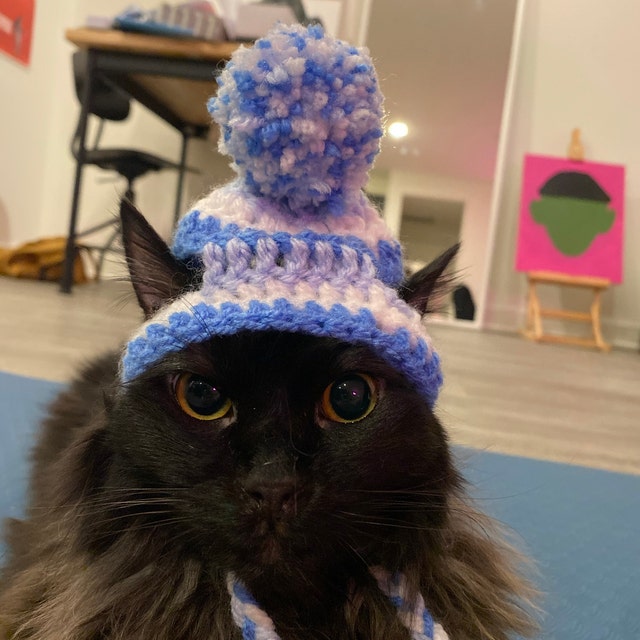 Hat for Cats, Toboggan Cat Hat, Beanie for Cats & Kittens