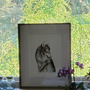 Laura heeft een foto van de aankoop toegevoegd