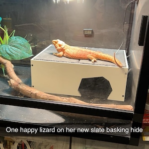 Emily hat ein Foto des gekauften Artikels hinzugefügt