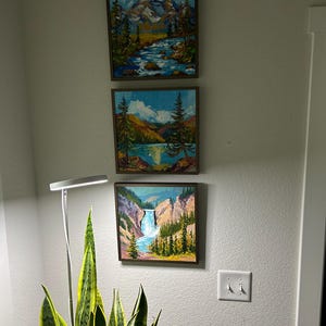 Diane added a photo of their purchase