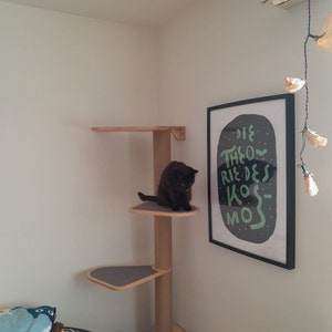 Jeane added a photo of their purchase