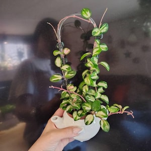 Tia added a photo of their purchase
