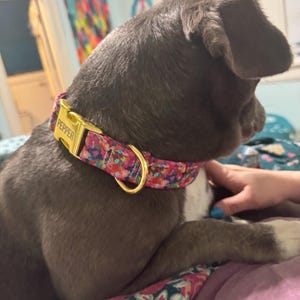 Kaitlyn added a photo of their purchase