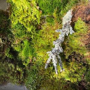 Comprador de Etsy ha añadido una foto de su compra