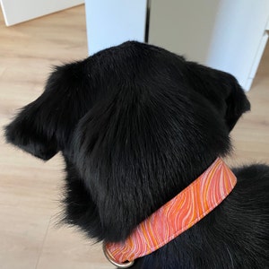 Isa added a photo of their purchase
