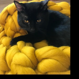 Maddi-Ruth added a photo of their purchase