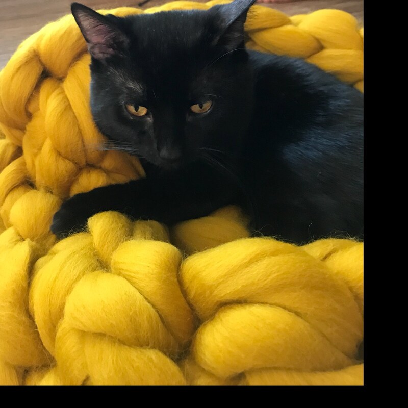 Customer photo of Merino Wool Pet Bed