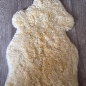 Jiri added a photo of their purchase