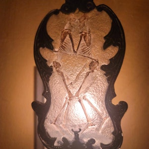 Cynthia added a photo of their purchase