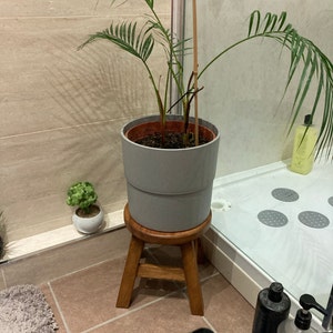 Virginia added a photo of their purchase