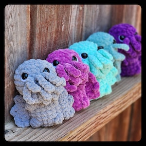 Lisa added a photo of their purchase