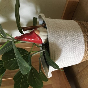alisha added a photo of their purchase