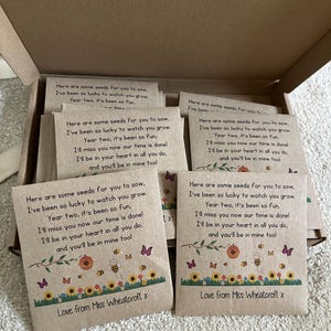 End of Year Gifts for Class Bee Friendly Seed Packet End of Term Gift ...