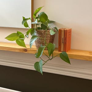 Tuesday added a photo of their purchase