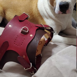 Dog Harness Pattern leather Harness With Pocket DIY Pdf Download 