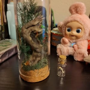 Amanda added a photo of their purchase