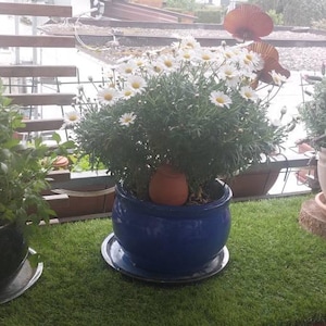 D added a photo of their purchase
