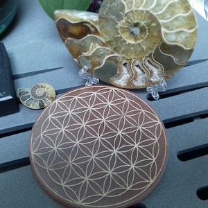 Delphine added a photo of their purchase
