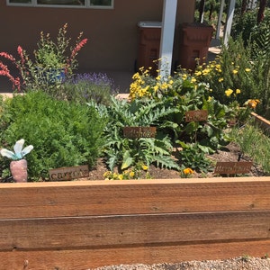 Carolyn added a photo of their purchase