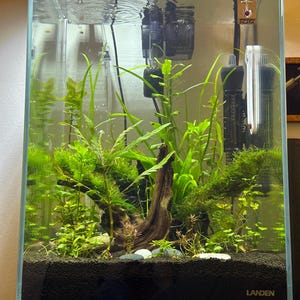 Ellie hat ein Foto des gekauften Artikels hinzugefügt