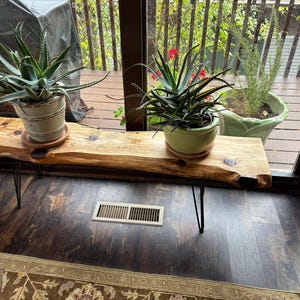Michael added a photo of their purchase