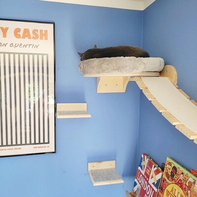 Kattenladder, kattentrap, gevlamd, kattentrede voor balkon, 1 m tot 6 m, met klemmen (lengte: 2 m
