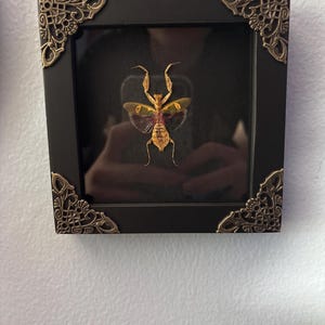 Taylor added a photo of their purchase