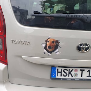 Thomas hat ein Foto des gekauften Artikels hinzugefügt