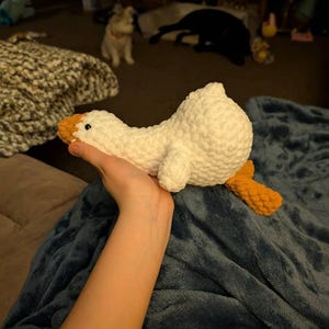 Madison added a photo of their purchase