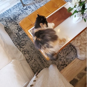 Lily added a photo of their purchase