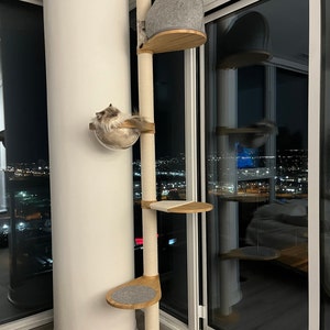 Fernandez added a photo of their purchase