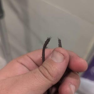 Koku ha añadido una foto de su compra