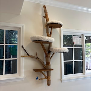 Nancy added a photo of their purchase