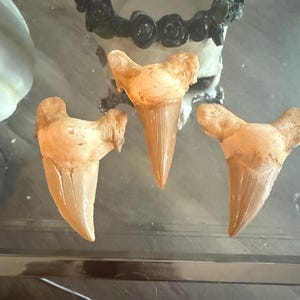 Frank added a photo of their purchase
