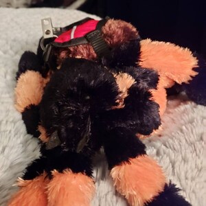 Emily added a photo of their purchase