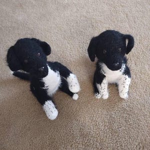 Rose added a photo of their purchase