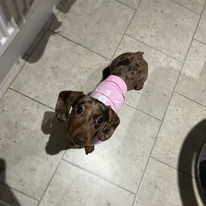 Lucile added a photo of their purchase