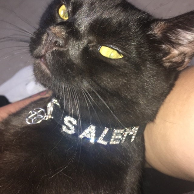 Personalised Cat Collar Crystal Pagan Wiccan With Pentagram or